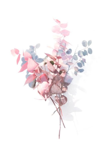 demo-attachment-1106-evie-s-vz3IQy0LOaA-unsplash-1024x1024-1
